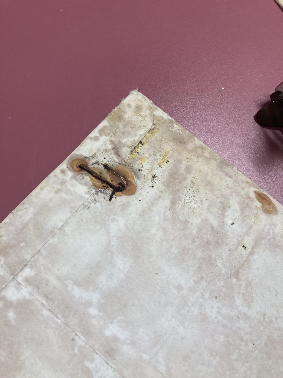 Creepy Collections: What Lurks in the Archive