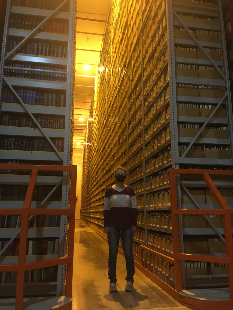 New Year Same Mission Protecting Collections Part 2: Digitization